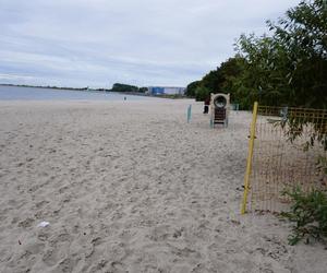 Jedyne takie miejsce na plażowej mapie Gdańska. Właściciele psów powinni o nim wiedzieć!