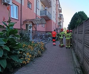 Niewiarygodne! 22-latek skoczył z drugiego piętra i uciekł do mieszkania. Co się stało w Siedlcach?