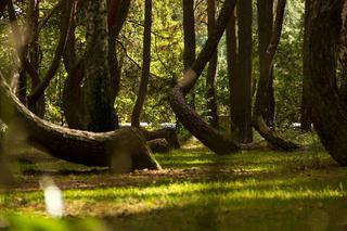 Nieodkryte miejsca w Polsce