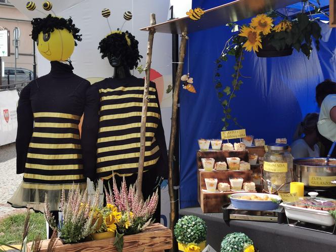 Wielkopolski Dzień Pszczół w Kaliszu