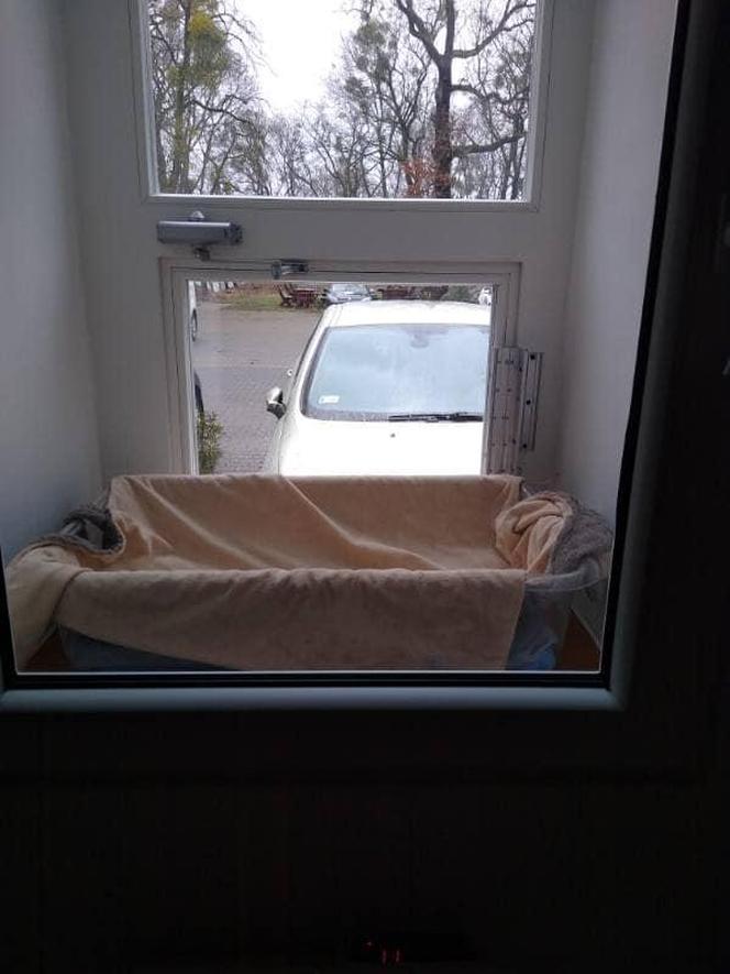 Alarm w oknie życia w Toruniu! Zakonnice znalazły 11-miesięcznego chłopczyka