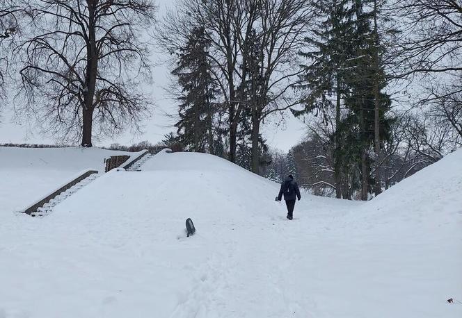 Zamojski Park pod śniegiem