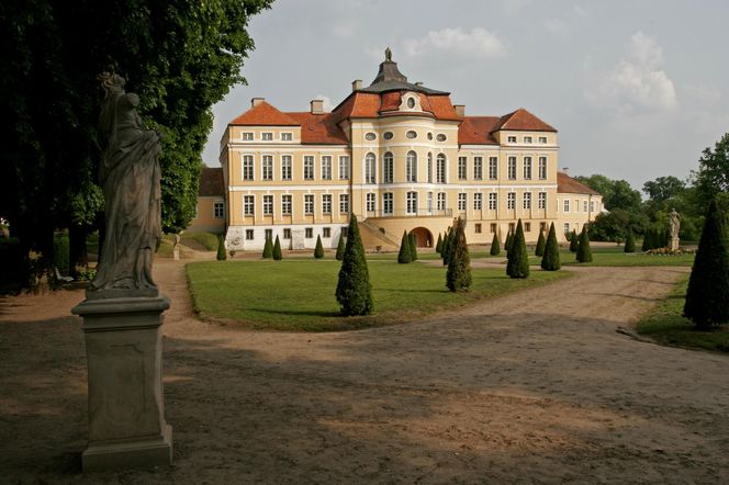Dawniej rezydencja magnackiego rodu, dziś imponująca galeria sztuki. Zaglądamy do wnętrz Pałacu w Rogalinie