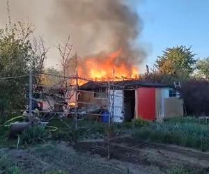 Pożar ogrodów działkowych w Dzierżoniowie. Nagrania z interwencji strażaków