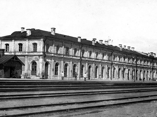Łapy