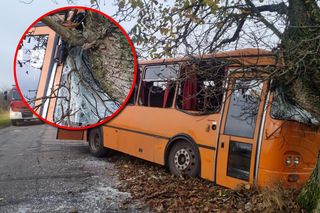 Autobus szkolny zjechał z drogi i uderzył w drzewo. Są poszkodowani