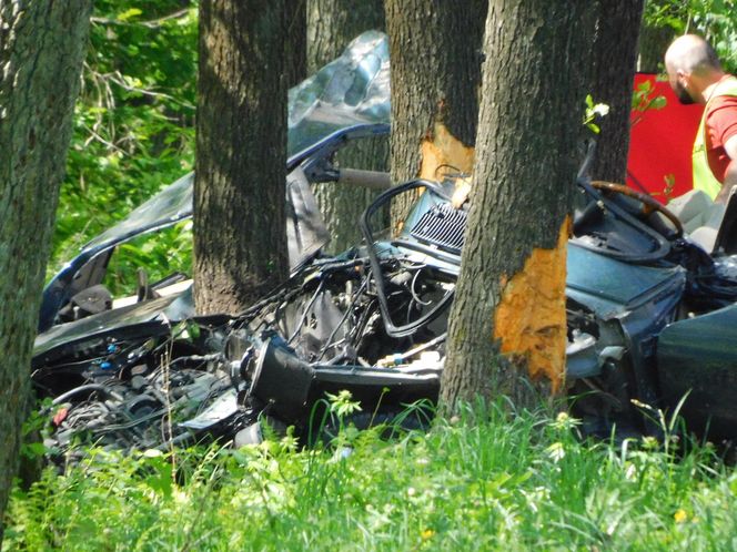 Tragiczny początek majówki na Mazowszu. Nie żyją dwie osoby. Jaguar uderzył w drzewo 
