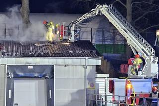 Podpalał sklepy i kontenery na terenie Jeleniej Góry. Groźny podpalacz trafił za kraty 