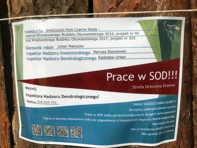 Wrocław jako pierwszy wprowadza karty ze standardami ochrony drzew przy inwestycjach