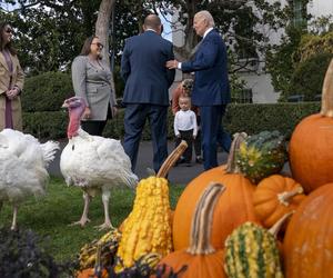 Indory u prezydenta USA! Joe Biden ułaskawił ptactwo