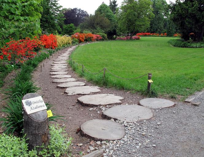 Arboretum Wojsławice prezentuje pełną paletę barw