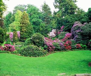 To raj dla miłośników przyrody! Kiedy otwarcie Arboretum pod Wrocławiem?