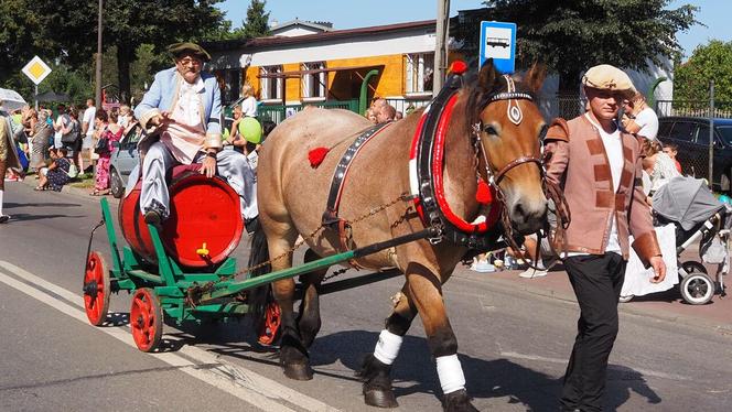 Gwarki 2023 w Tarnowskich Górach: ulicami miasta przeszedł tradycyjny pochód gwarkowski