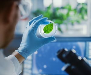 Na te kierunki studiów dostaniesz się łatwiej niż myślisz