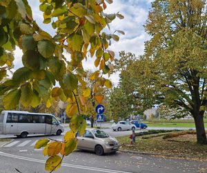 To Rzeszów czy inne miasto? Sprawdź się w naszym quizie