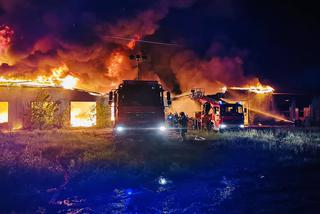 Śmiertelny wypadek w Nowym Dworze Mazowieckim