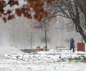 Park Ludowy w Lublinie skąpany we mgle