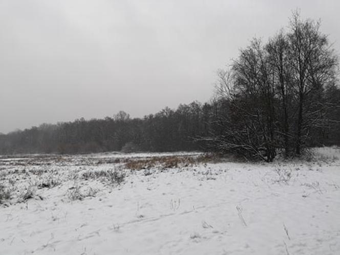 Jezioro Rusałka w zimowej aurze