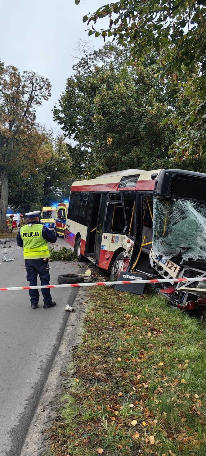 Zderzenie autobusu miejskiego z osobówką w Wilkowicach koło Leszna