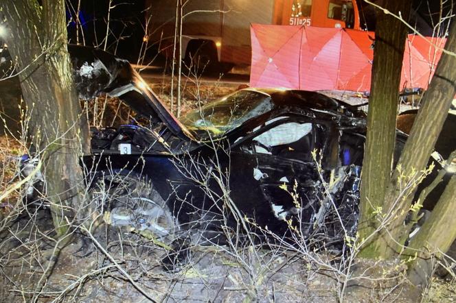  Półsieraków. W wypadku BMW zginęło dwóch pasażerów. Kierowca prowadził po alkoholu. Trafił do aresztu  