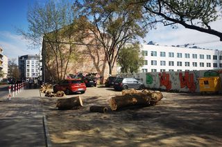 Kłody zamiast słupków na nielegalnym parkingu