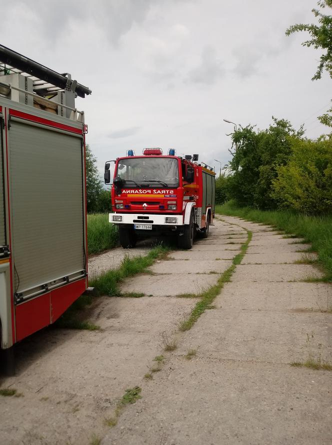 23-latek wszedł na wierzchołek masztu telefonicznego! Dramatyczne sceny pod Płockiem [ZDJĘCIA]