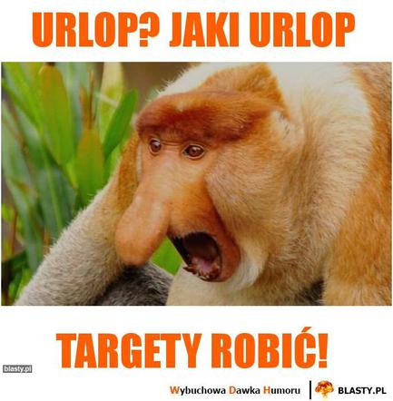 Urlop: memy
