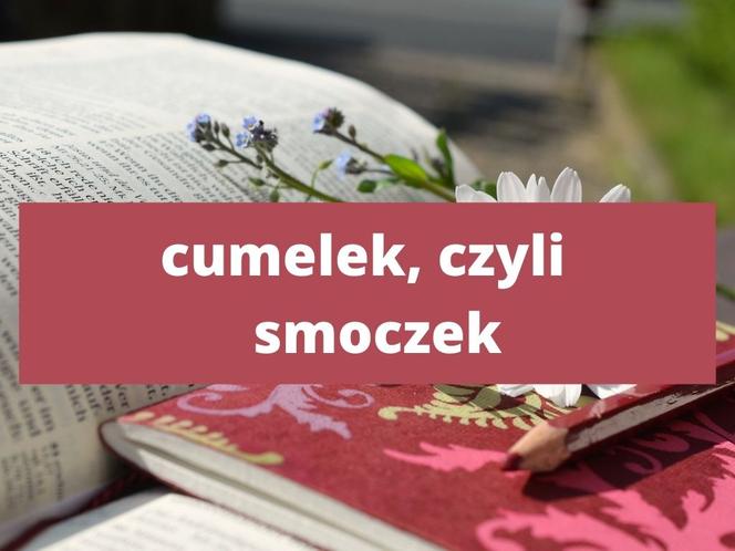 Te słowa tylko na Podkarpaciu! Znasz znaczenie tych słów? 
