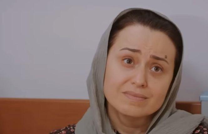 Miłość i nadzieja, odcinek 269: Cavidan