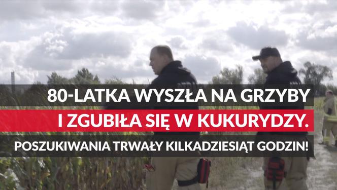 86-latka zgubiła się w polu kukurydzy 