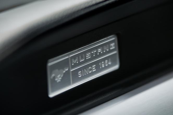 2015 Ford Mustang GT 5.0 V8