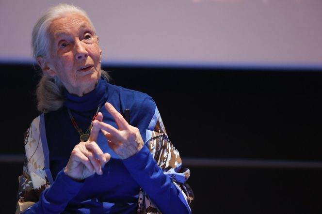 Jane Goodall - 1 października