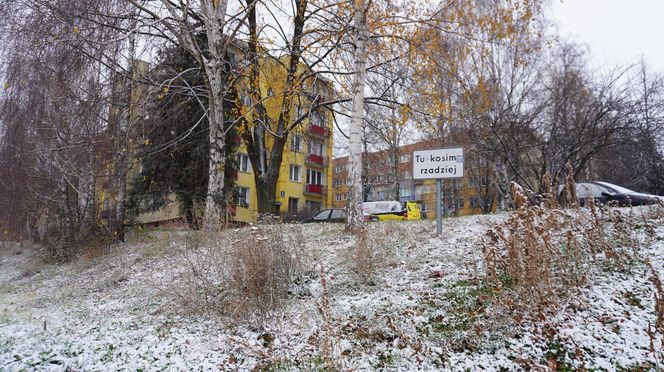 No i przyszła! Zima w Lublinie. Tak wygląda Park Rury