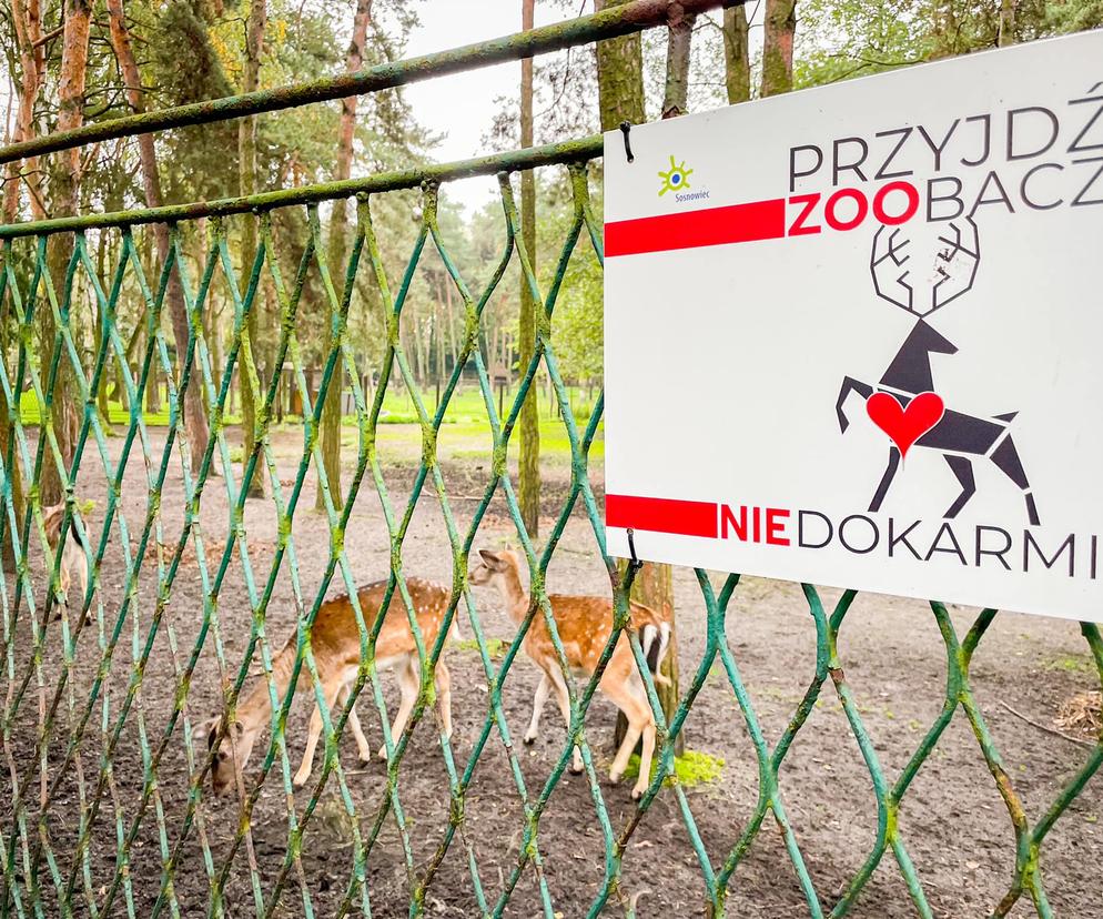 Mini zoo w Sosnowcu