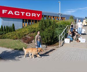 Startuje Jungle Night w FACTORY Kraków, czyli wieczór 50% rabatów od cen outletowych