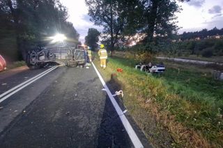 Przytoczna. Śmiertelny wypadek na DK 24. 49-latek nie żyje [ZDJĘCIA].