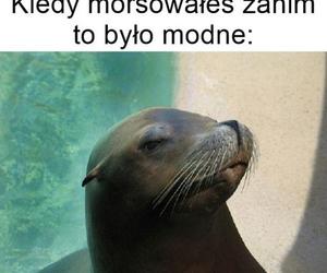 Najlepsze memy o morsowaniu na rozpoczęcie sezonu! Uśmiech gwarantowany 