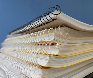 137. V Liceum z Oddziałami Dwujęzycznymi im. Adama Asnyka - Szczecin