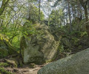 To miasto w Małopolsce jest kolebką turystyki. Legenda głosi, że założył je stryj Mieszka I