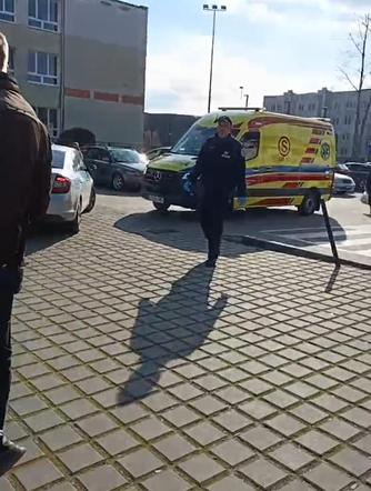 Toruńska Kocia Straż. Odebrano zwierzęta
