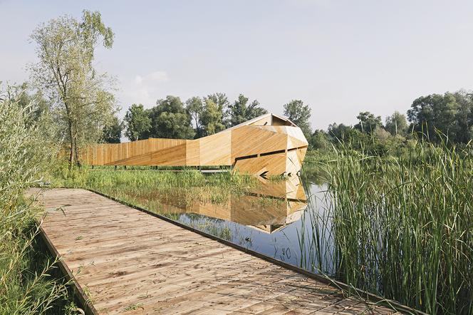 Enklawa przyrodnicza w Starym Sączu