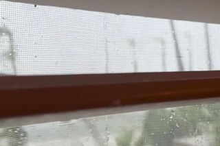 Aleksandra Żebrowska