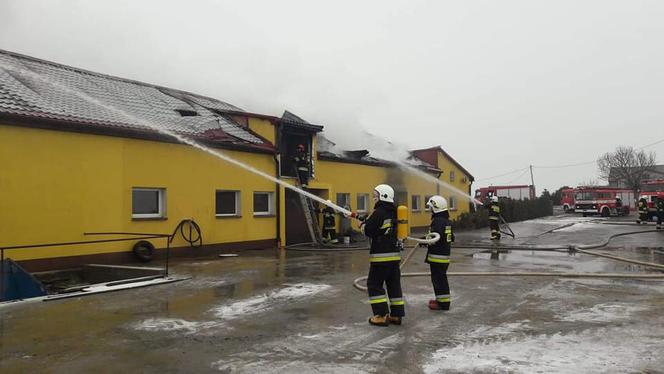 Płonie obora w powiecie chełmińskim! Na miejscu 21 zastępów straży pożarnej! [ZDJĘCIA]