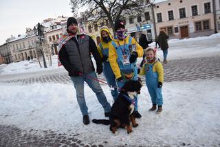 W Rzeszowie wolontariusze WOŚP kwestowali z psami [WIDEO, GALERIA]