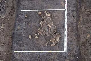 Racibórz. Rolnik wyciągnął z ziemi nogi kościotrupa! Szokujące odkrycie