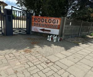 Zabił 16-letnią Maję z wyjątkowym okrucieństwem. Bartłomiej G. zatrzymany w Grecji 
