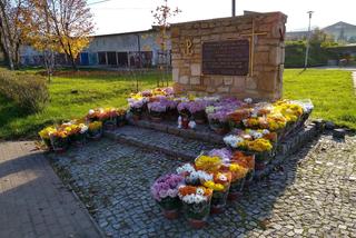 Chryzantemy ozdobiły Starachowice