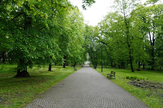 To małopolskie miasto jest dwa razy większe od Dubaju. Mało kto wie, że latem jest w nim tak gorąco, jak w arabskim kurorcie
