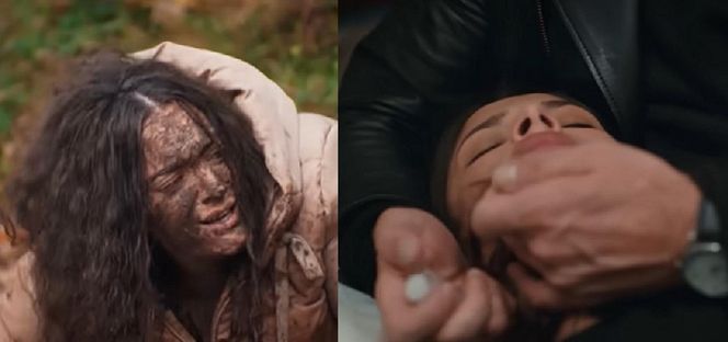 Dziedzictwo, odcinek 665. Nana, Ayse, Ertan