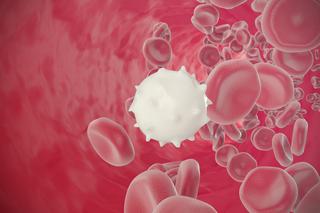 Granulocyty: funkcje i normy